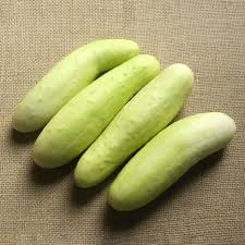 Semillas de Pepino White Wonder – Variedad Cremosa Rara