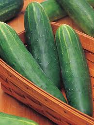 Organic Burpless Cucumber Seeds for Planting – Non-GMO, Smooth, Digestible, Easy to Grow