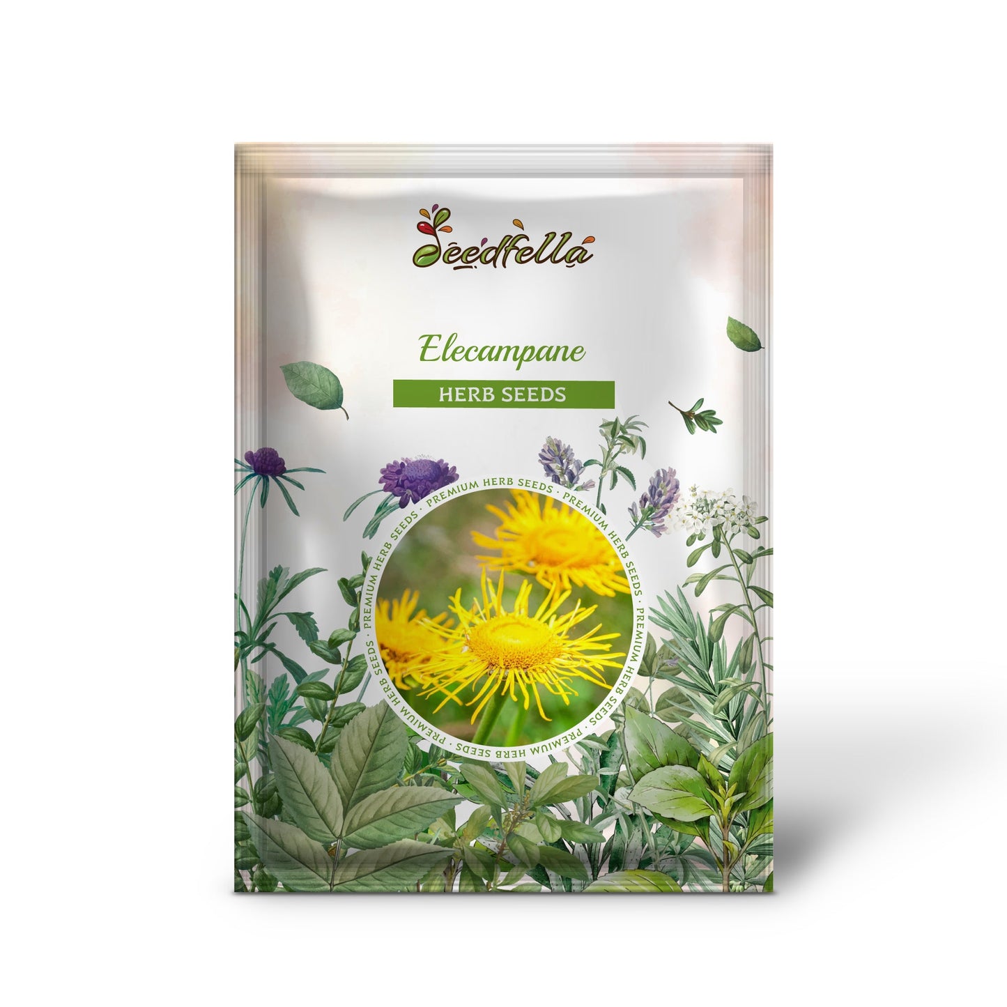 Elecampane (Inula helenium) Seeds