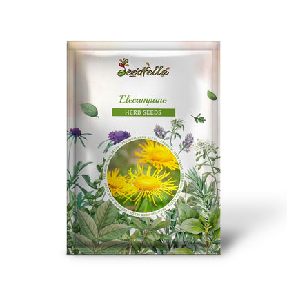 Elecampane (Inula helenium) Seeds