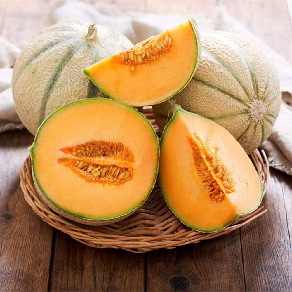 Iroquois Cantaloupe Melon (Cucumis melo) Fruit Seeds