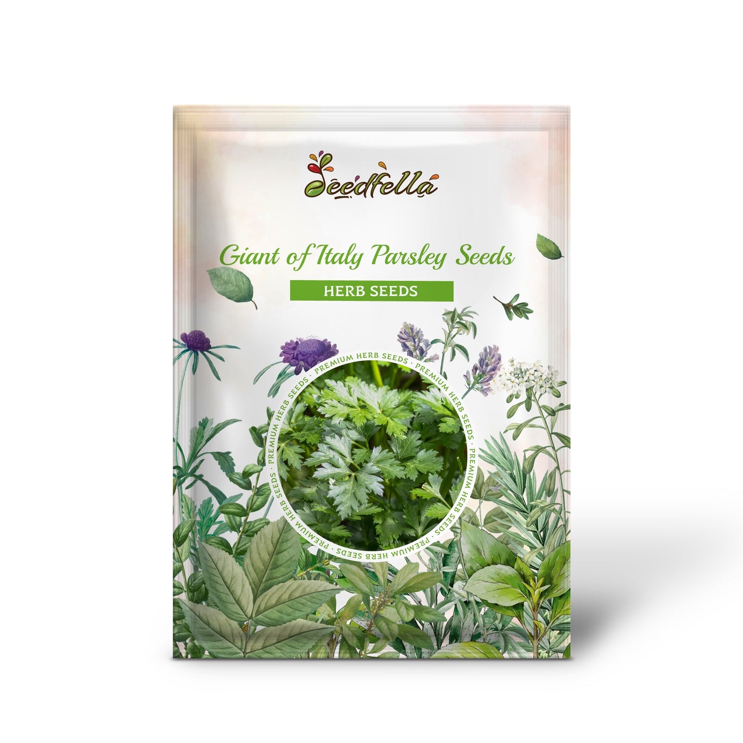 Giant of Italy Parsley Seeds (Petroselinum crispum)