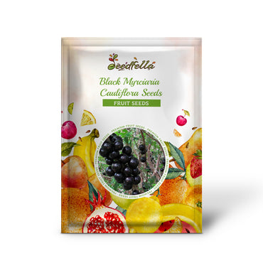 Black Myrciaria Cauliflora Seeds for Fruit Planting
