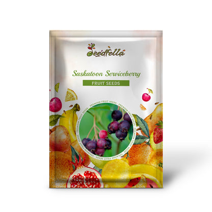 Saskatoon Serviceberry (Amelanchier alnifolia) Juneberry Shadbush Edible Purple Berry Shrub Seeds