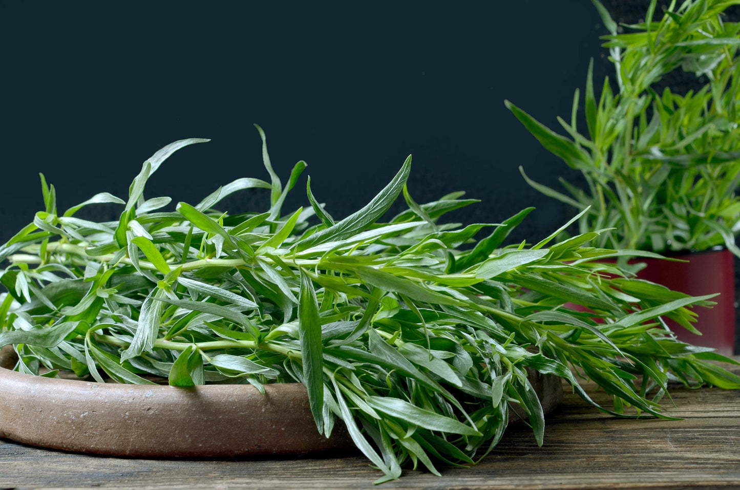 Tarragon (Artemisia dracunculus) - 100 Kitchen / Common / Dragon's Wort Herb Seeds