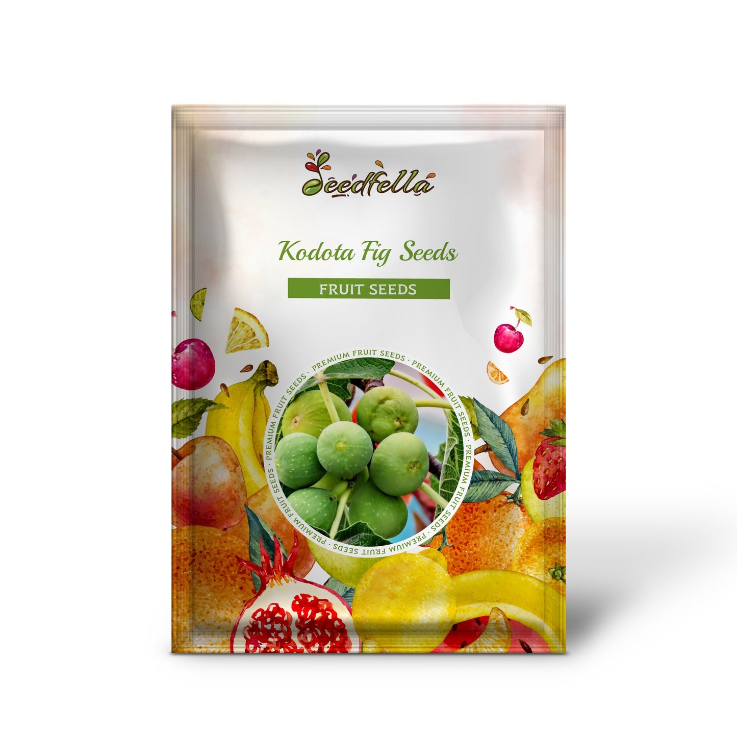 Kodota Fig Seeds for Planting Hardy Sweet Fruits