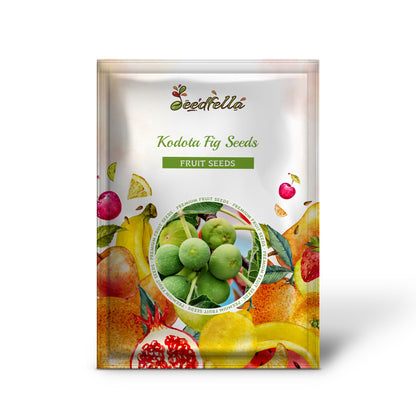 Kodota Fig Seeds for Planting Hardy Sweet Fruits