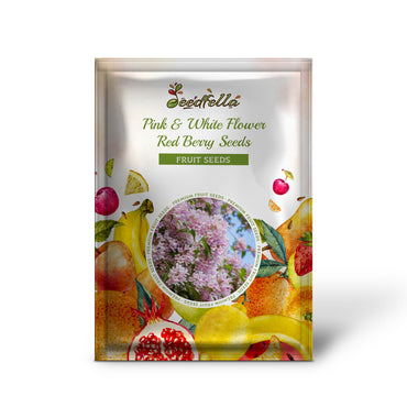 Schönheitsstrauch (Kolkwitzia amabilis) Rosa-weiße Blüte Rote Beeren Samen