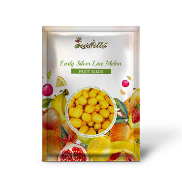 Early Silver Line Melon (Cucumis melo) Yellow Striped Skin White Flesh Korean Fruit Seeds