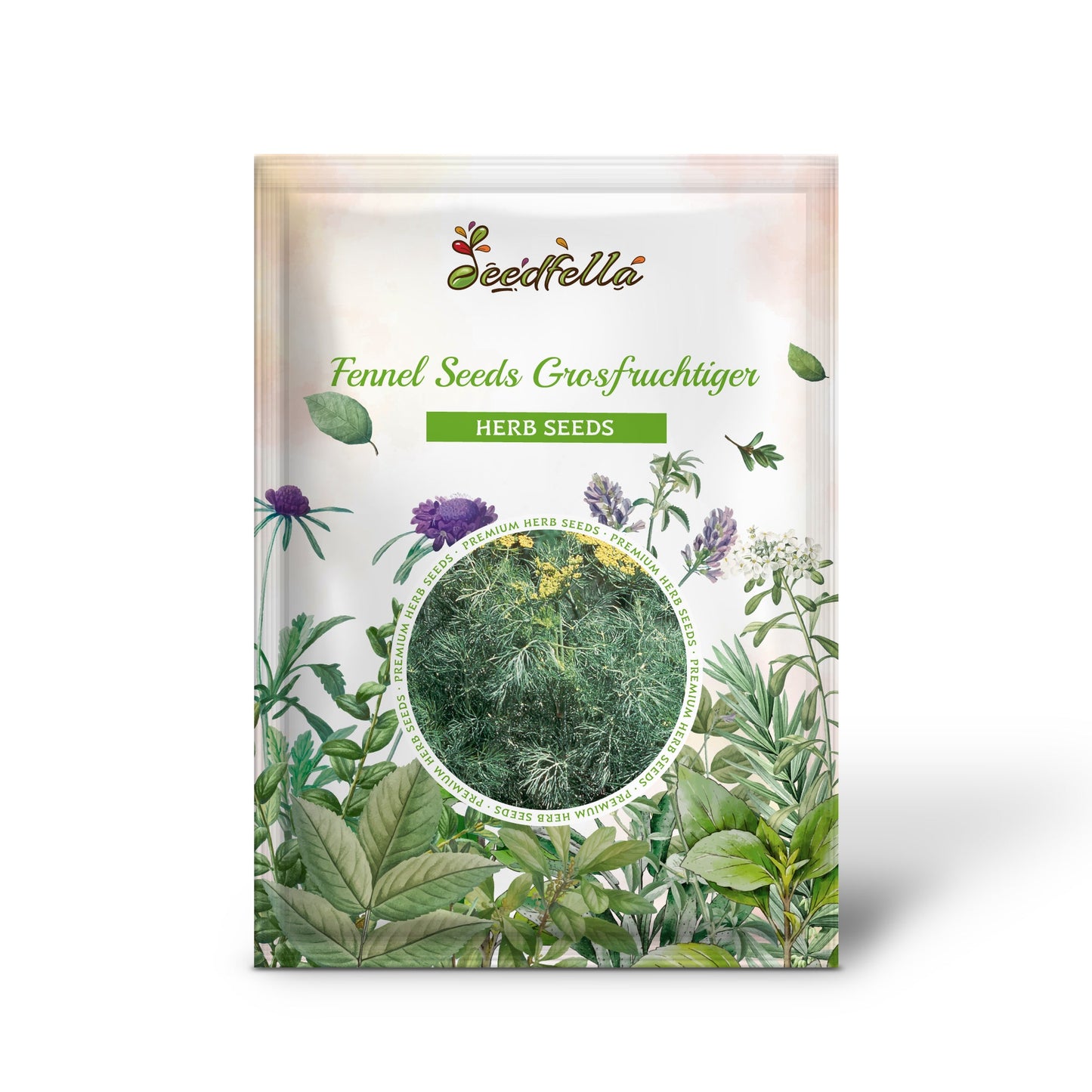 Fennel Seeds - Grosfruchtiger (Foeniculum vulgare)