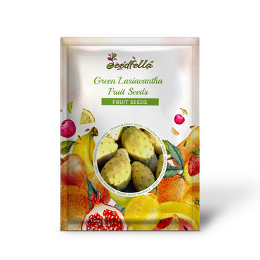 Green Lasiacantha Fruit Seeds for Planting