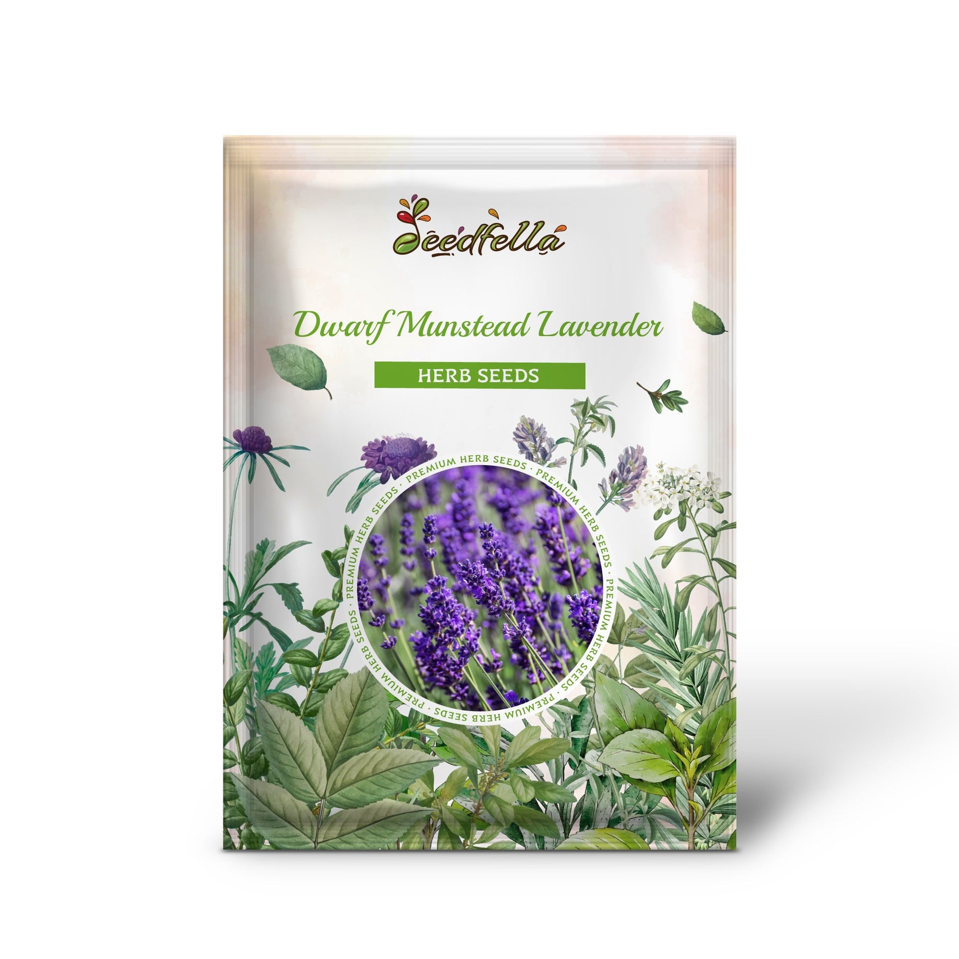 munstead english lavender seeds Dwarf Munstead Lavender Lavandula Angustifolia 'Munstead' Blue English Lavender Purple Fragrant Flower Herb Seeds Organic Garden Seeds – Pure Asia Seeds
