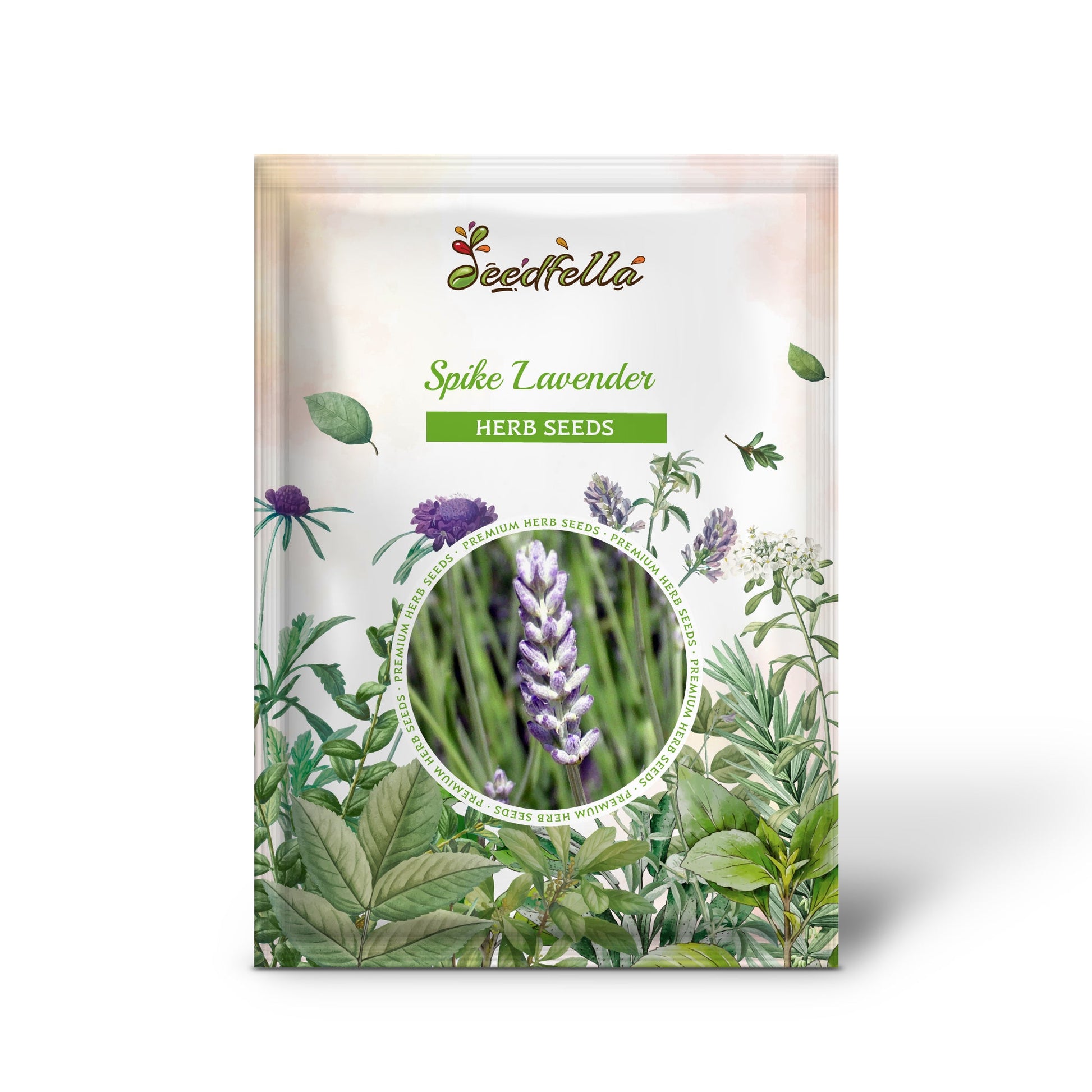 lavender seeds organic Spike Lavender Lavandula Latifolia Seeds Organic Garden Seeds – Pure Asia Seeds