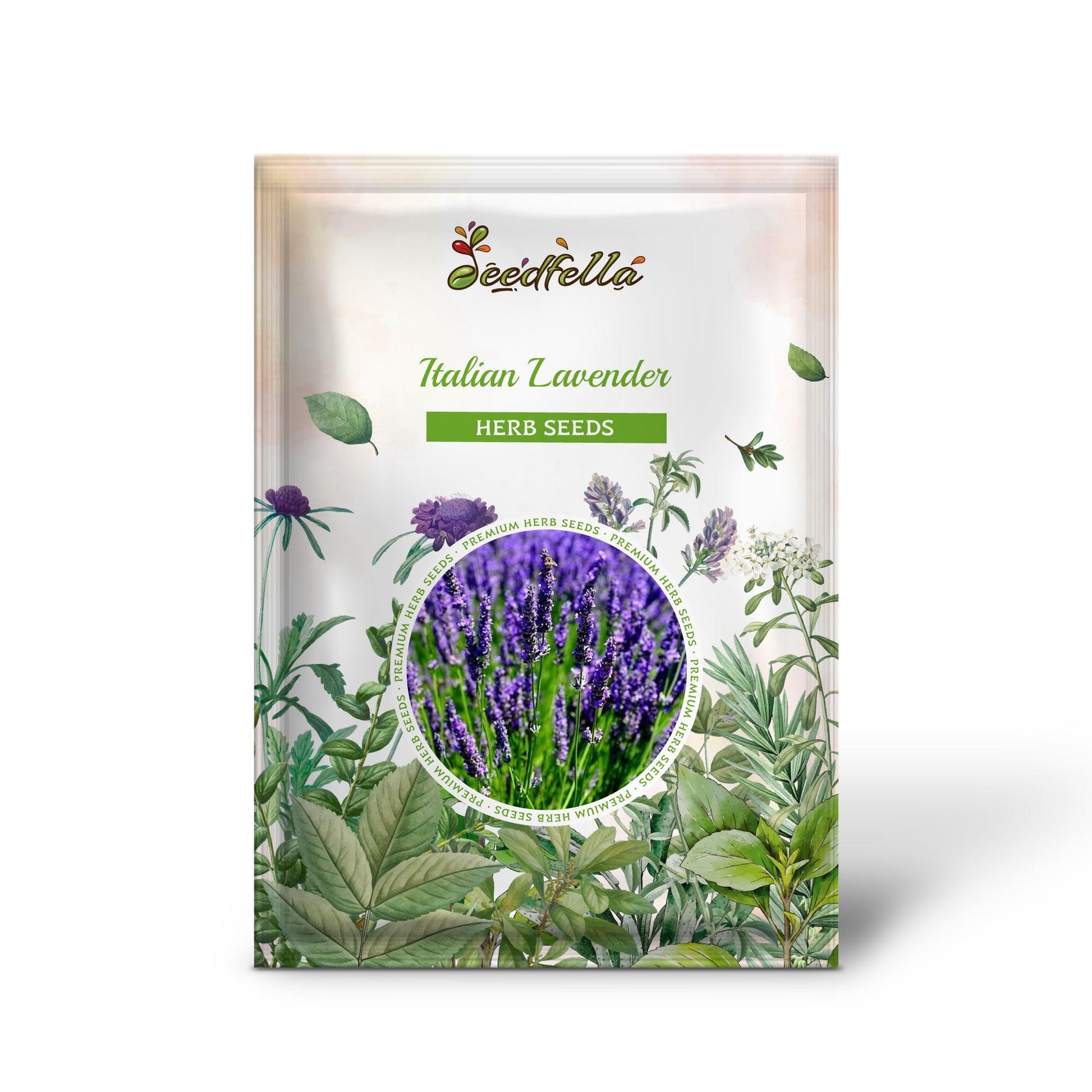 italian lavender seeds Italian Lavender Lavandula Angustifolia Lavender Blue Purple Fragrant Flower Herb Seeds Organic Garden Seeds – Pure Asia Seeds