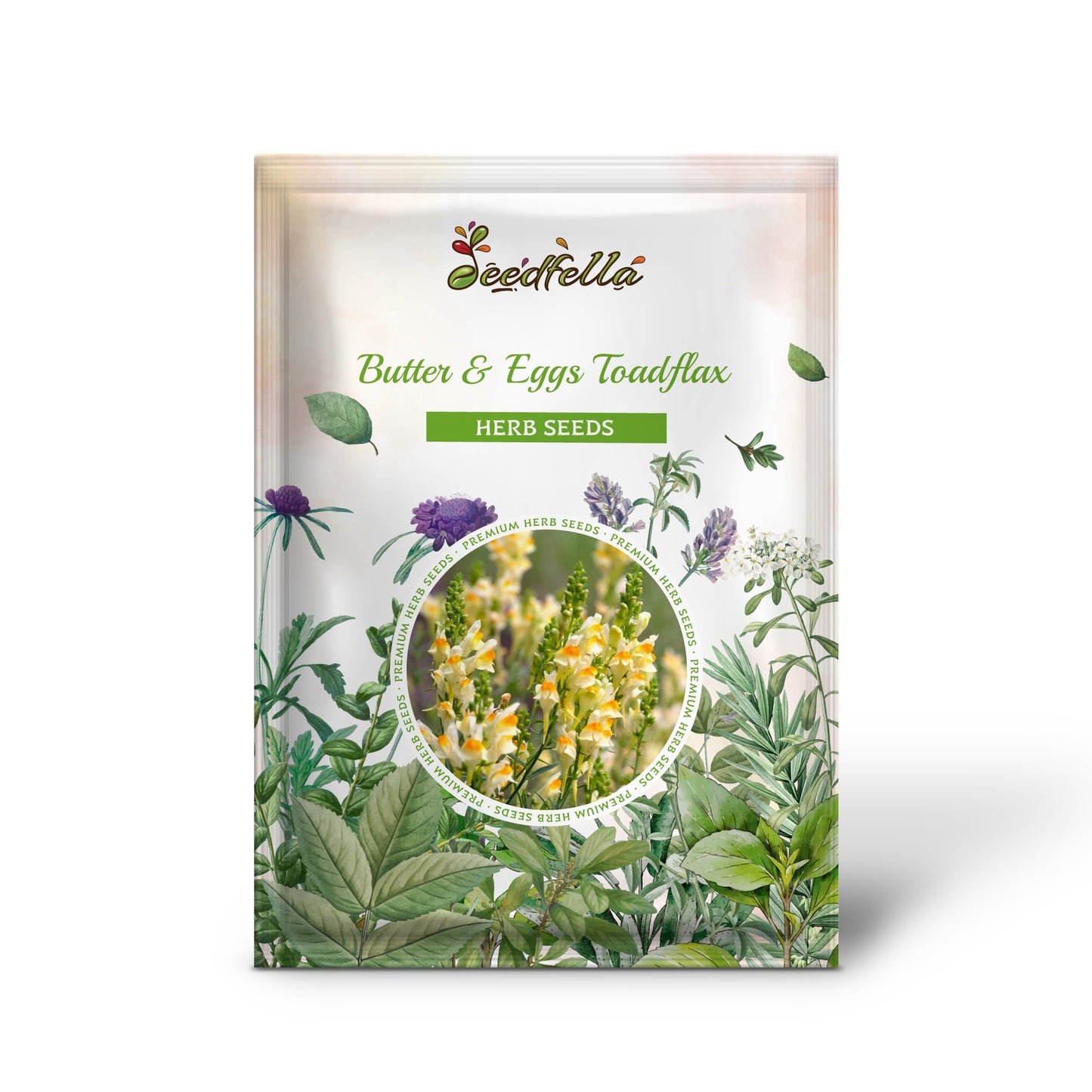 Butter & Eggs Toadflax (Linaria vulgaris) Wild Snapdragon Bicolor Yellow Flower Seeds