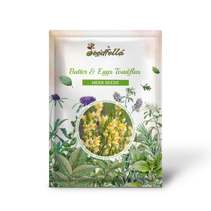 Butter & Eggs Toadflax (Linaria vulgaris) Wild Snapdragon Bicolor Yellow Flower Seeds