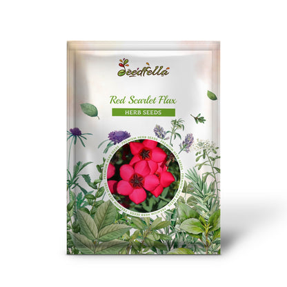 lin lan flower seeds Red Scarlet Flax Linum Grandiflorum Rubrum Flower Seeds Organic Garden Seeds – Pure Asia Seeds