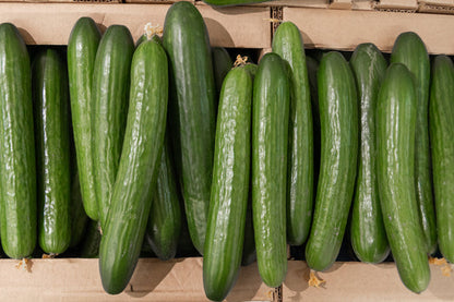 Long Green Improved Cucumber Cucumis Sativus Slicing Fruit Vegetable Seeds heirloom non-gmo organic garden seeds