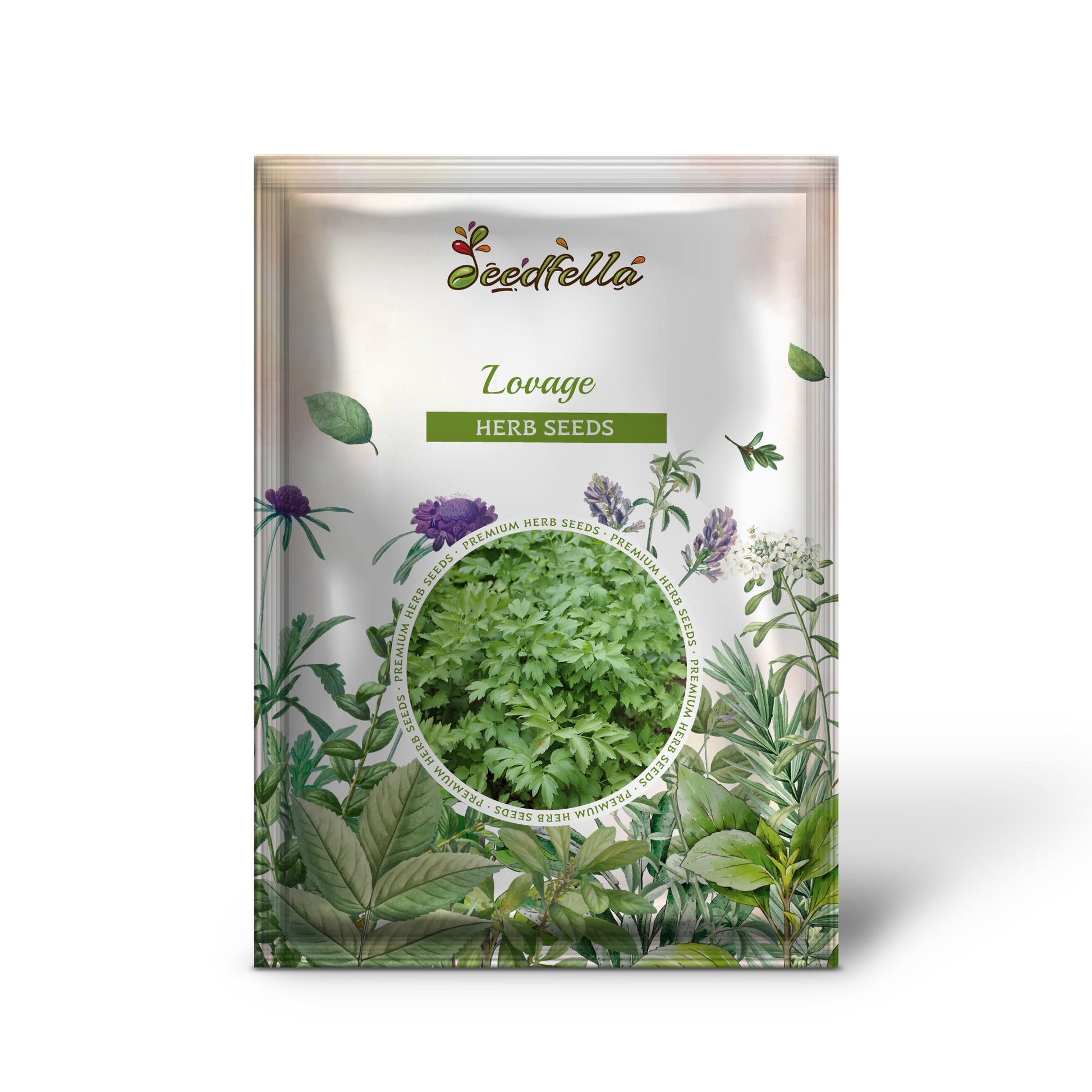 lovage plant seeds Lovage Levistucum Officinale Herb Flower Seeds – Flavor Like Celery & Anise Organic Garden Seeds – Pure Asia Seeds