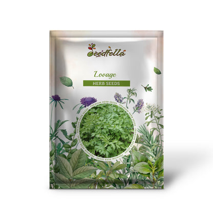 Lovage (Levistucum officinale) Herb Flower Seeds – Flavor Like Celery & Anise