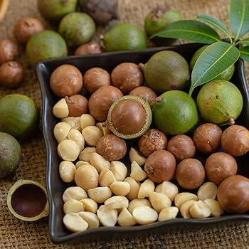 Macadamia Nut Tree (Macadamia Integrifolia) Brown Shell Beige Nut Fruit White & Pink Flower Seeds