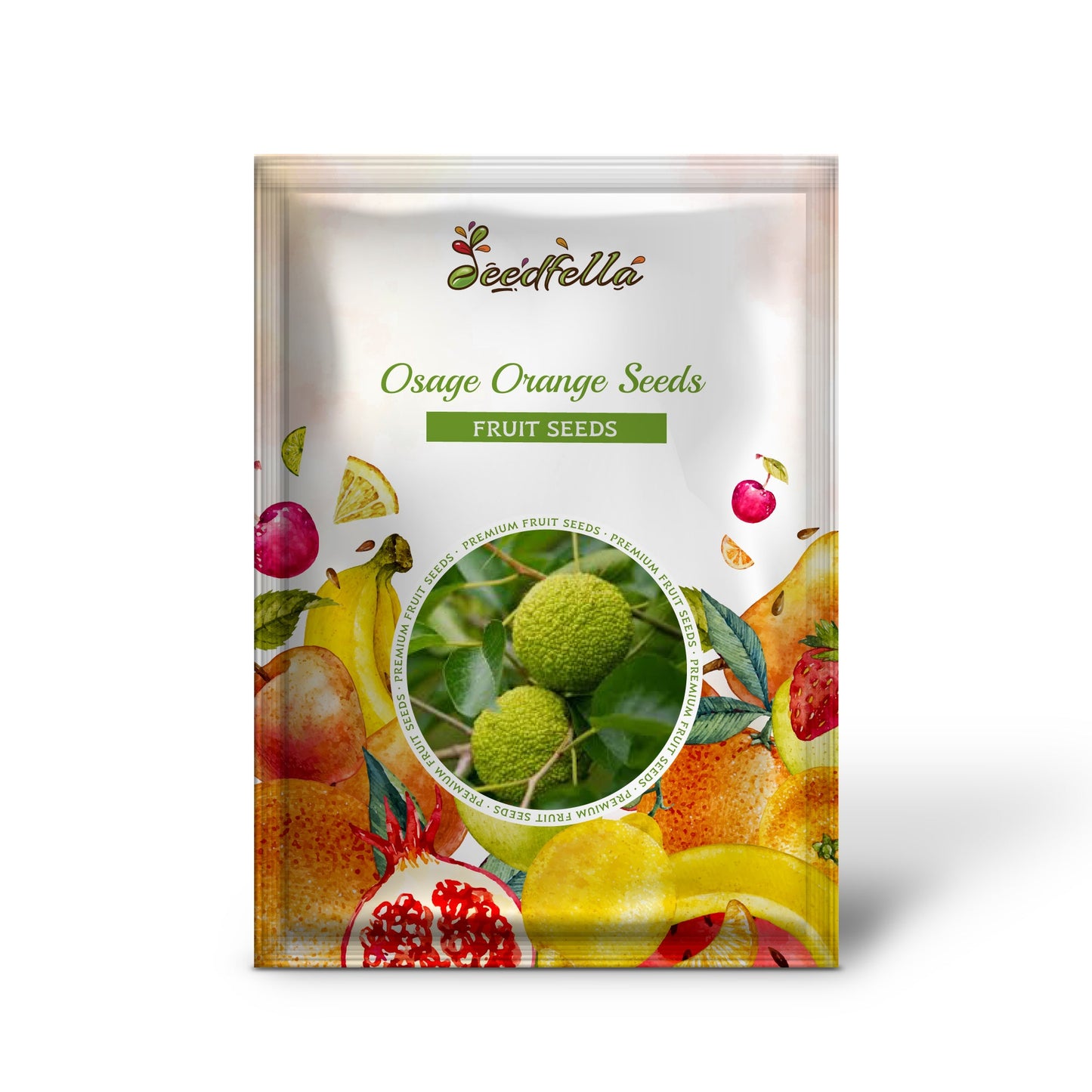 Osage Orange Seeds for Planting - Grow Your Own Trees