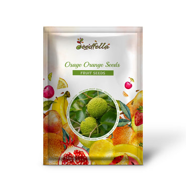 Osage Orange Seeds for Planting - Grow Your Own Trees