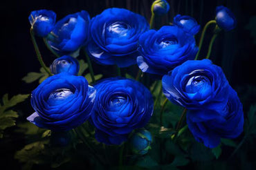 Blaue Hahnenfuß-Blumensamen zum Pflanzen – Unverzichtbar für den Bauerngarten, Erbstücksamen & GVO-freie Samen für den Hausgarten
