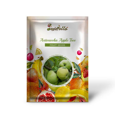 Antonovka Apple Tree (Malus pumila var. Antonovka) – Yellow-Green Fruit, Pink & White Flowers Seeds