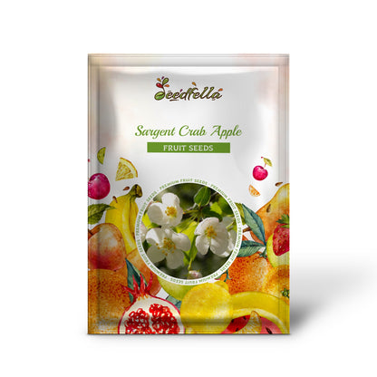 Sargent Crab Apple (Malus Sargentii) Shrub Hummingbird Flower White Red Seeds