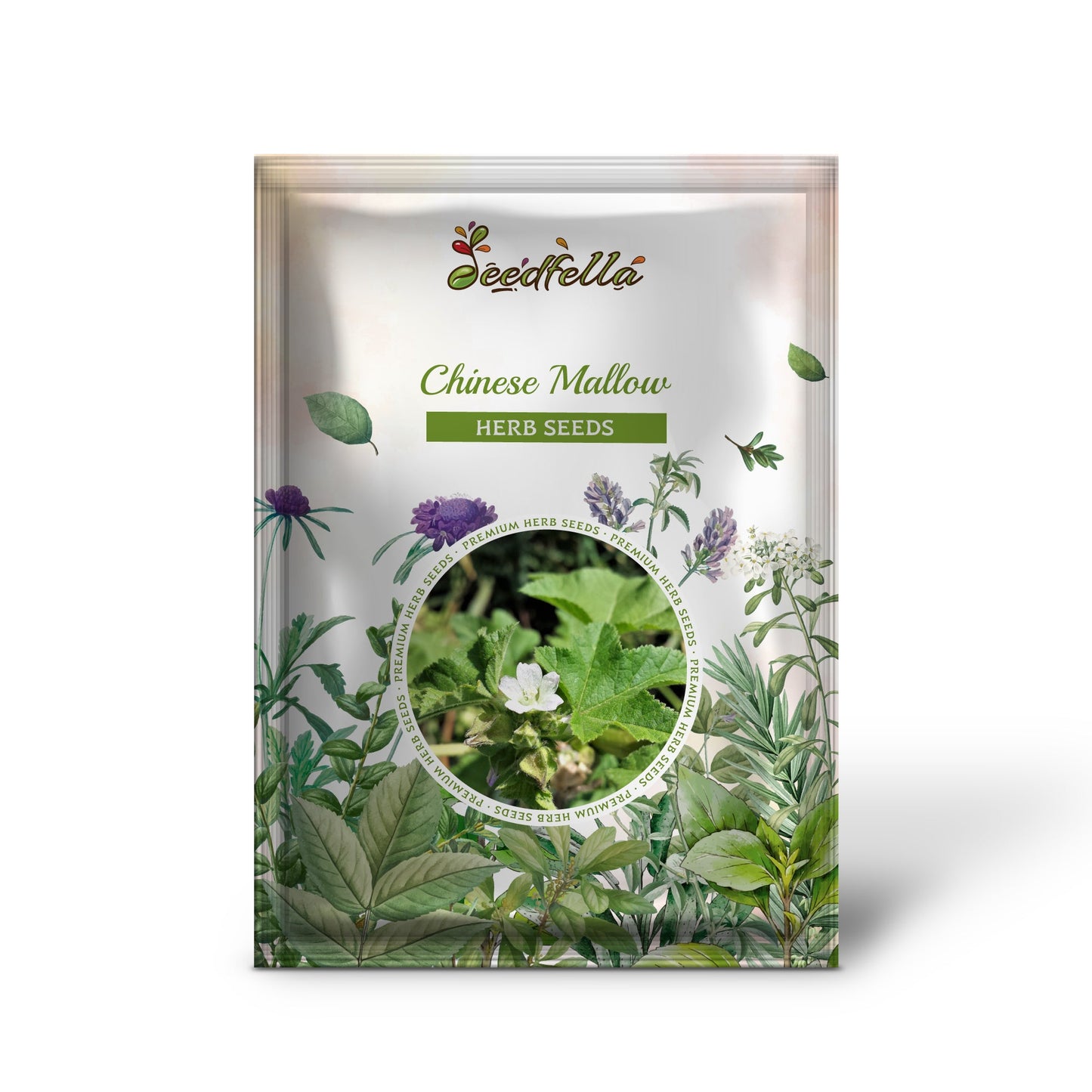 Chinese Mallow (Malva verticillata) Musk or Cluster Mallow White Flower Herb Mauve Frisee Vegetable Seeds
