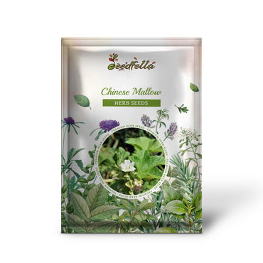 Chinese Mallow (Malva verticillata) Musk or Cluster Mallow White Flower Herb Mauve Frisee Vegetable Seeds