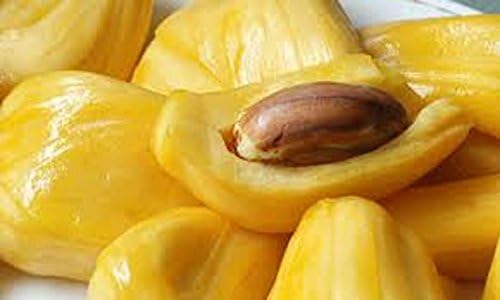 Massive Jackfruit Seeds for Easy Planting and Abundant Fruits