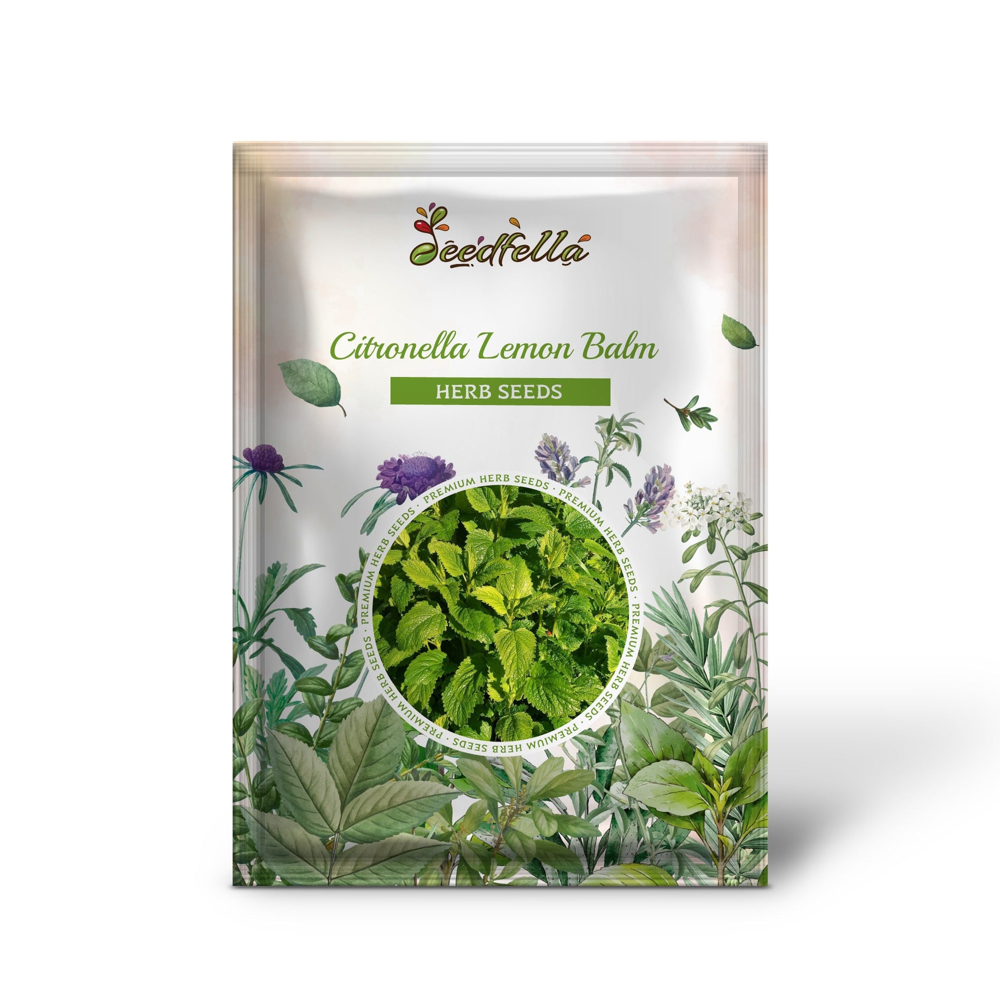 citronella plants seeds Citronella Lemon Balm Melissa Officinalis 'Citronella' Seeds Organic Garden Seeds – Pure Asia Seeds