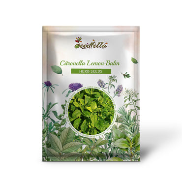 Citronella Lemon Balm (Melissa officinalis 'Citronella') Seeds