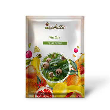 Medlar (Mespilus germanica) Seeds