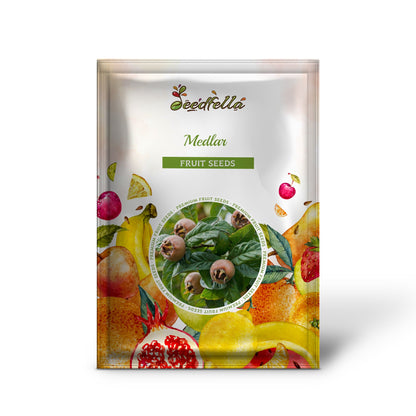 Medlar (Mespilus germanica) Seeds