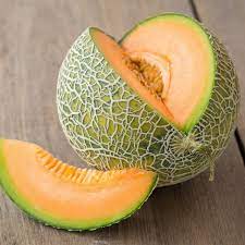 Minnesota Midget Cantaloupe Melon (Cucumis melo reticulatus) Fruit Seeds