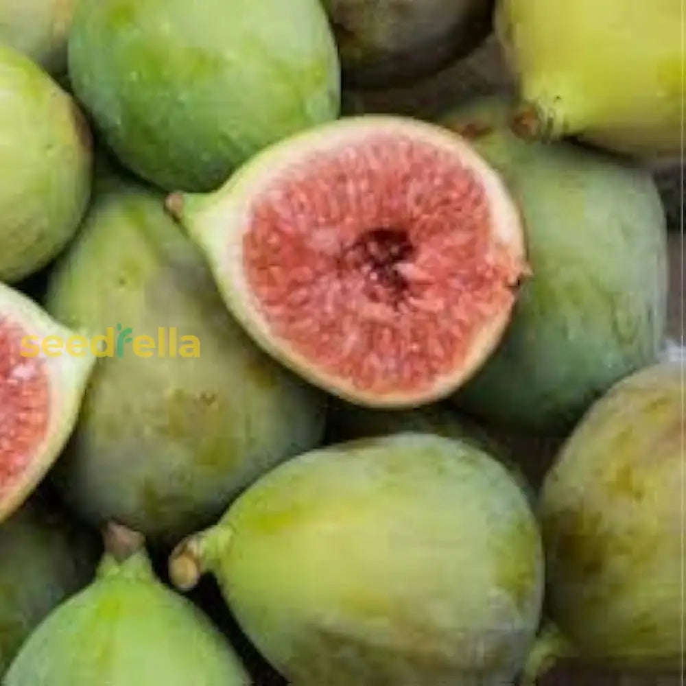 Mixed Vasilika Aspra Planting Seeds For Fruit Cultivation heirloom non-gmo organic garden seeds