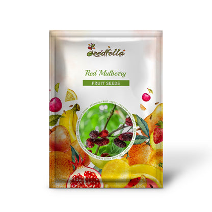 Red Mulberry (Morus rubra) Tree Shrub Seeds – Black Fruit, Hardy Shrub