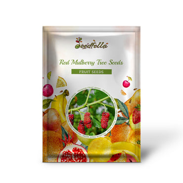 Red Mulberry Tree Seeds - Morus rubra