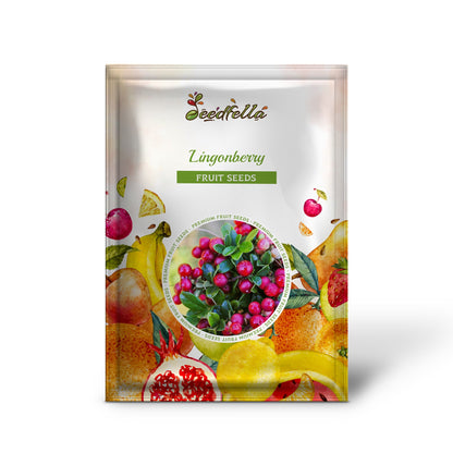 Lingonberry (Vaccinium vitis-idaea) Mountain Cranberry Edible Fruit Dwarf Evergreen Shrub Seeds
