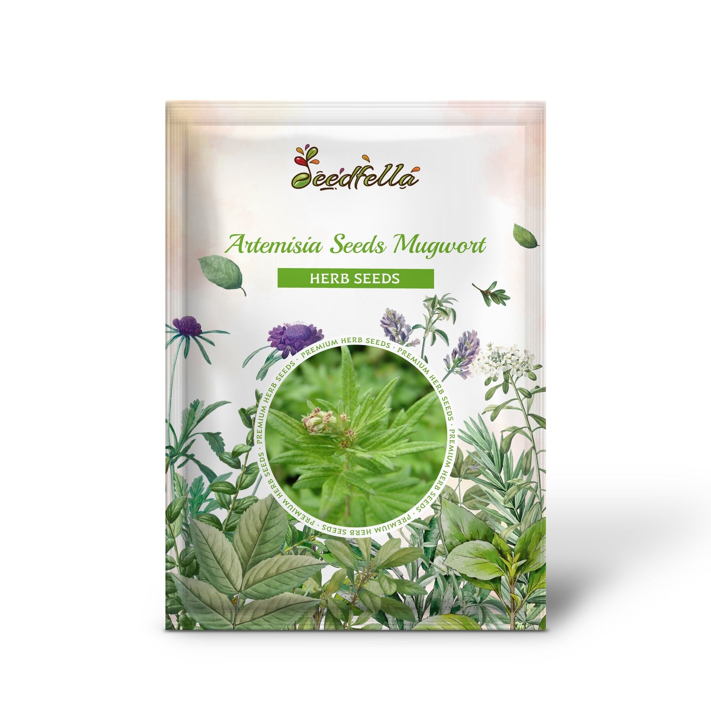 mugwort plant seeds Artemisia Seeds Mugwort Artemisia Vulgaris Organic Garden Seeds – Pure Asia Seeds