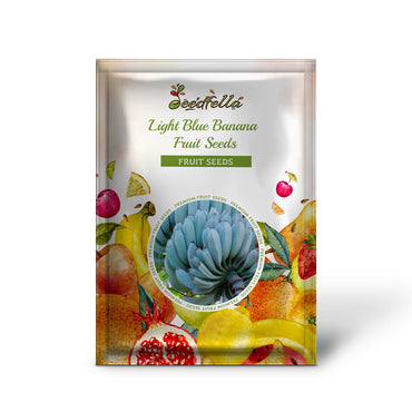 Light Blue Banana Fruit Seeds for Planting
