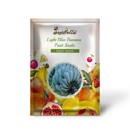 Light Blue Banana Fruit Seeds for Planting