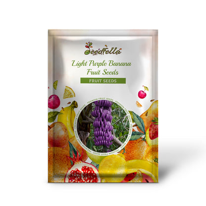 Light Purple Banana Fruit Seeds for Planting