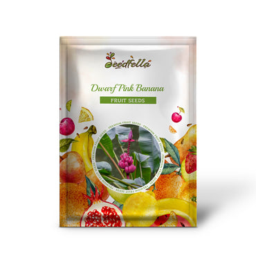 Dwarf Pink Banana (Velvet Musa Velutina) Flowering Fruit Tree Seeds