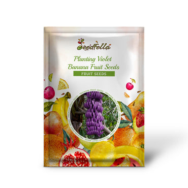 Planting Violet Banana Fruit Seeds
