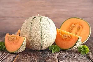 Musk Melon Cucumis Melo Fruit Seeds For Planting In Tropical Garden heirloom non-gmo organic garden seeds