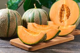 Musk Melon Seeds for Planting Sweet Fruits